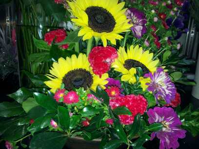 2012-07-27_17.36.22.jpg