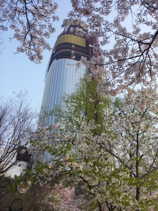 20140401_074002.jpg