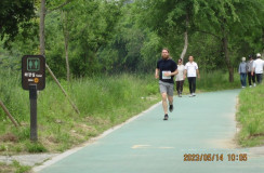 IMG_3395.jpeg