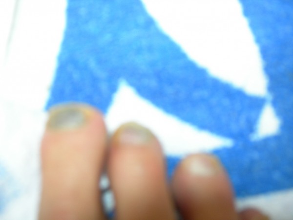 DSCN7459.JPG