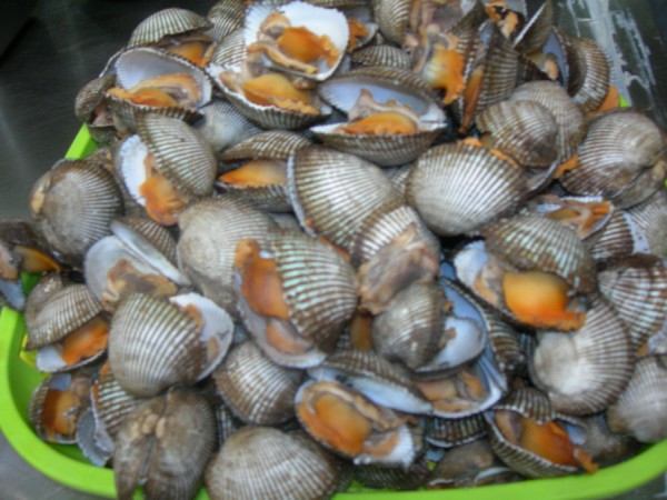DSCN7559.JPG