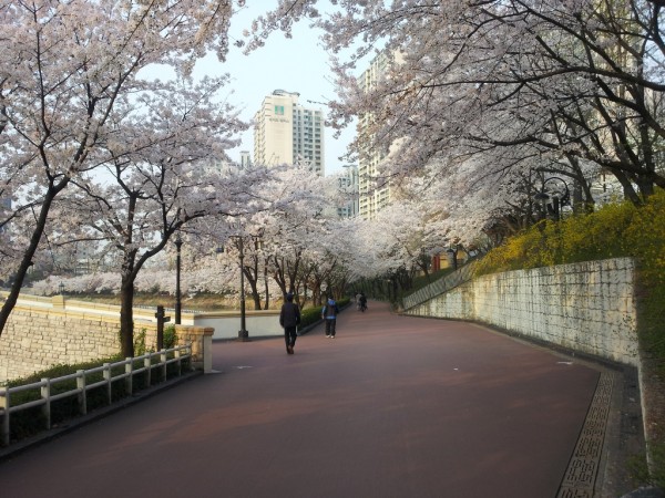 20140401_073018.jpg