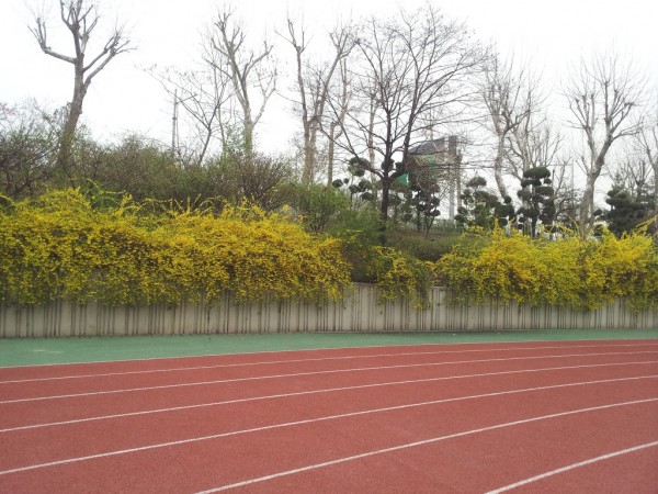 20140403_073125.jpg