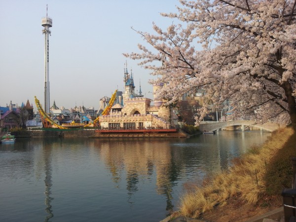 20140401_073325.jpg