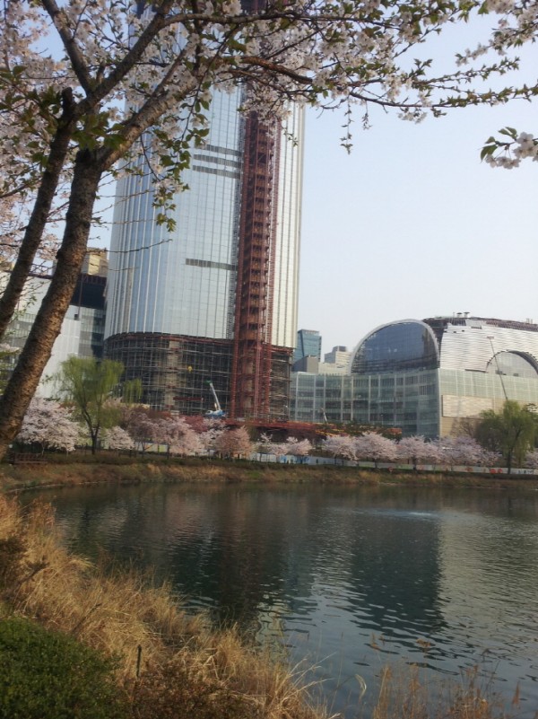 20140401_073806.jpg