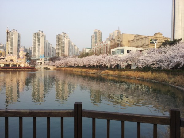20140401_073455.jpg