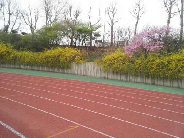 20140403_073104.jpg
