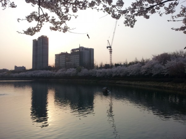 20140401_072646.jpg