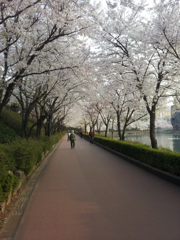 20140401_072618.jpg
