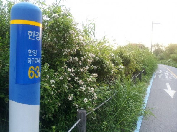 20140521_061210.jpg