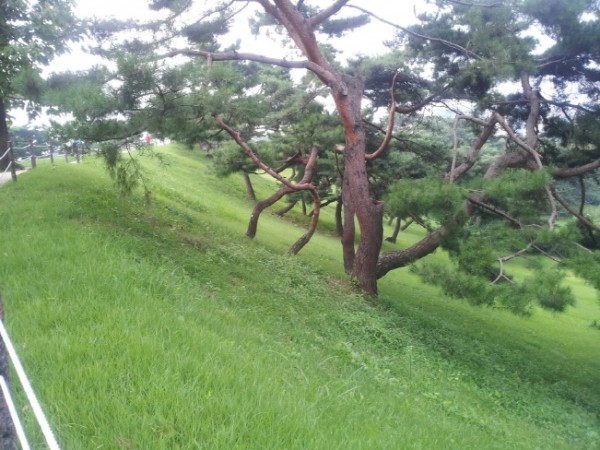 20140812_064725.jpg
