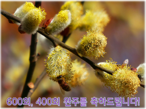600400.png