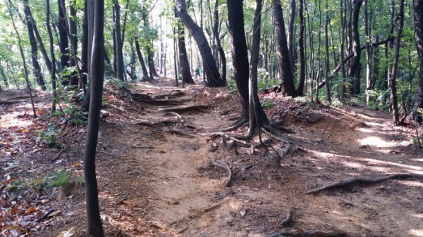 20150621_085023.jpg