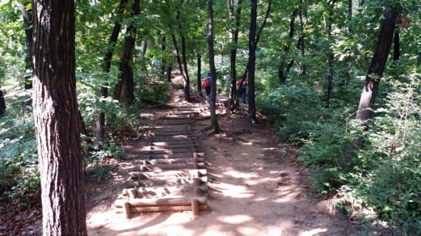 20150621_085741.jpg