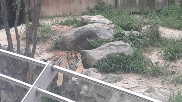 크기변환_20170813_140745.jpg