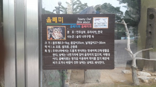 크기변환_20170813_141735.jpg