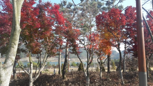 크기변환_20171118_133855.jpg
