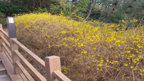 크기변환_20180324_154525.jpg