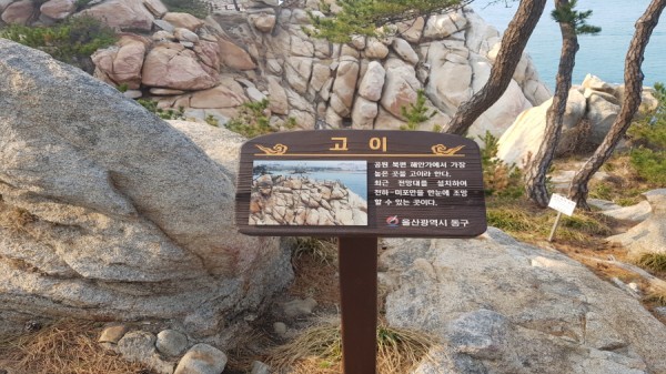 크기변환_20180324_162118.jpg
