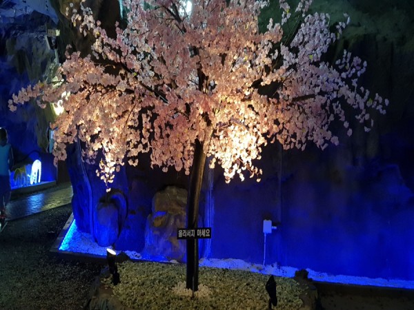 크기변환_20180325_123224.jpg
