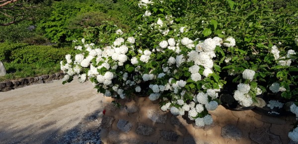 크기변환_20180519_175638.jpg