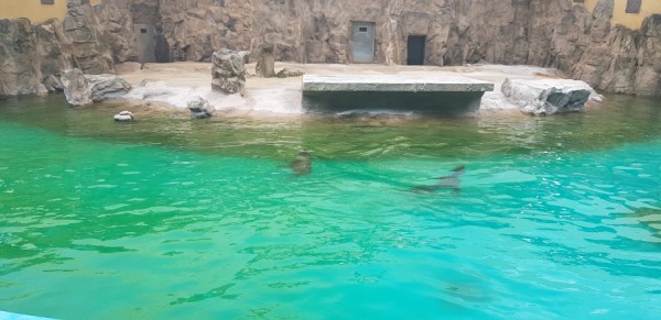 크기변환_20180813_150959.jpg