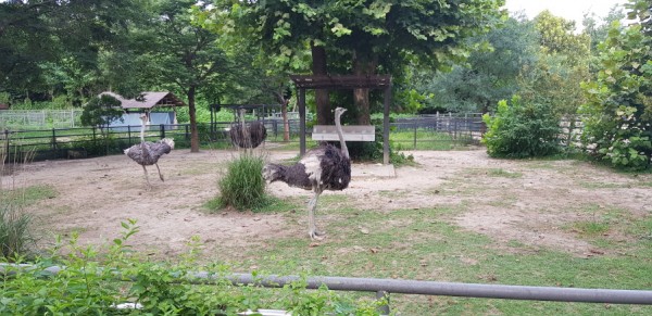 크기변환_20180812_070010.jpg