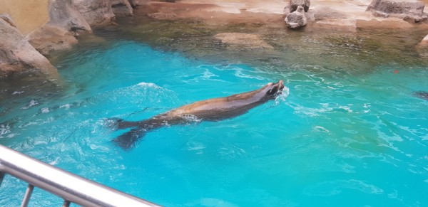 크기변환_20180813_150923.jpg