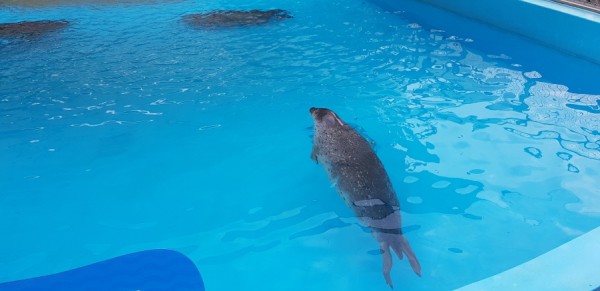 크기변환_20180813_151034.jpg