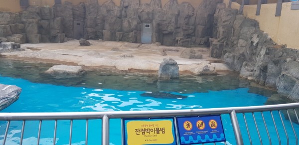 크기변환_20180813_150743.jpg