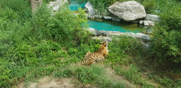 크기변환_20180813_144806.jpg