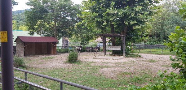 크기변환_20180812_065755.jpg