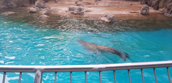 크기변환_20180813_150847.jpg