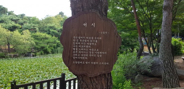 크기변환_20180812_070441.jpg