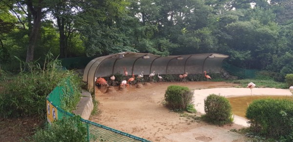 크기변환_20180812_070143.jpg