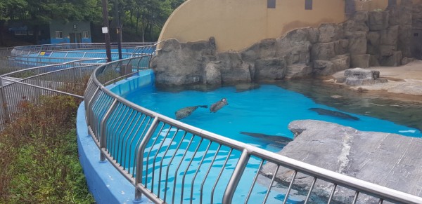 크기변환_20180813_150751.jpg