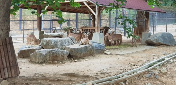 크기변환_20180813_152454.jpg