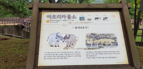 크기변환_20180813_152610.jpg
