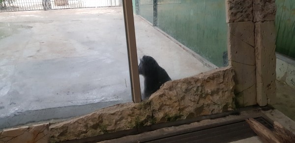 크기변환_20180813_143544.jpg