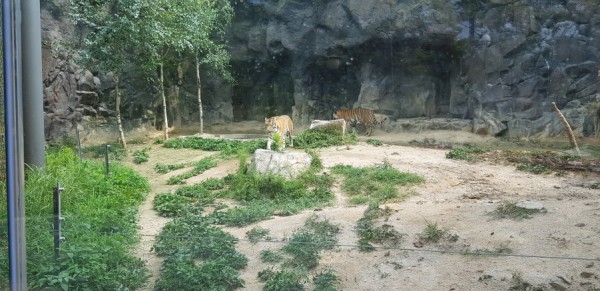 크기변환_20180813_144636.jpg