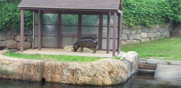 크기변환_20180813_152821.jpg