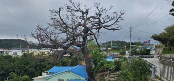 [크기변환]20230828_154742.jpg